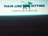 Main Line Dog Sitting
