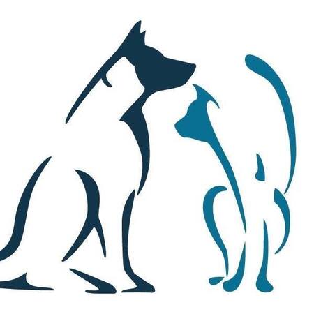 Carolina Veterinary Specialists's Photo