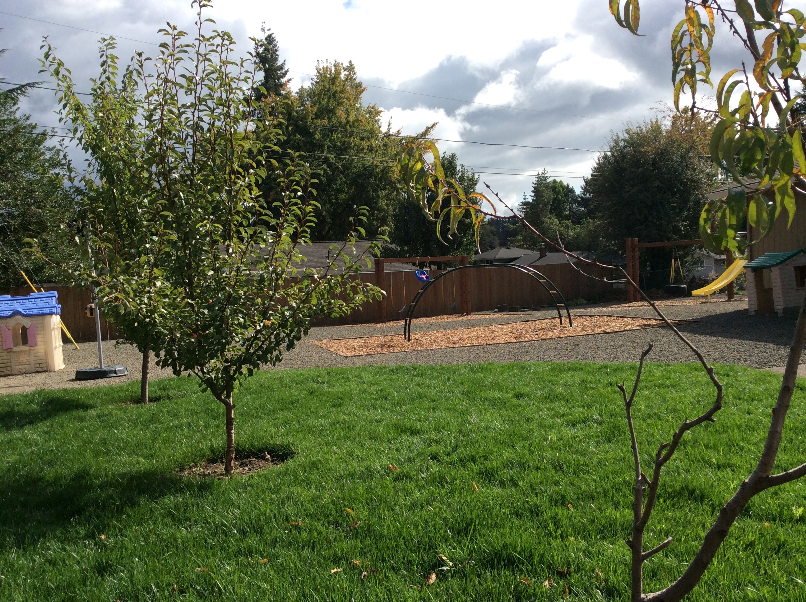 Amazing Minds Child Development Center and Preschool's Photo