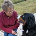 Pups-N-Partners, LLC's Photo