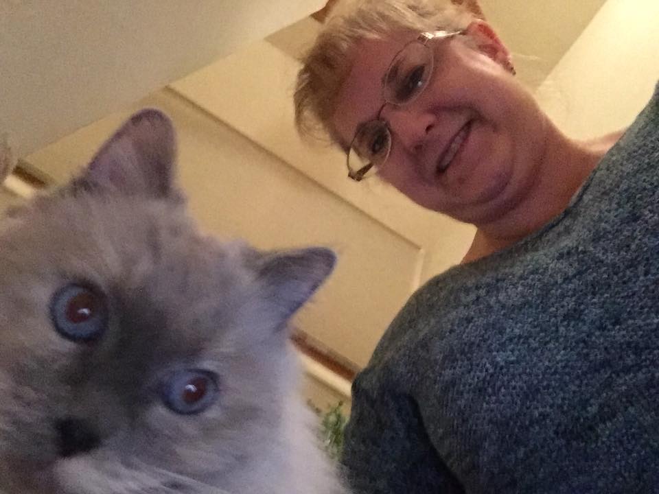 When You're Not There Pet Care's Photo