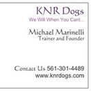 KNR Dogs, LLC
