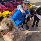 Carmen S.'s Photo