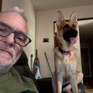 Seeker profile avatar for Looking For A Pet Walker For 1 Dog In Fair Lawn 2x A Day.