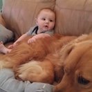 Seeker profile avatar for $1,000/week  4-Day House Manager/Nanny Role In Vero Beach