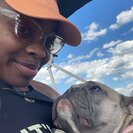 Photo for Nanny Needed For 1 Child In Fredericksburg.