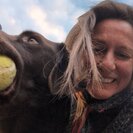 Seeker profile avatar for Looking For A Pet Sitter For 1 Dog In Windham