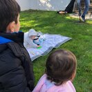 Seeker profile avatar for Babysitter Needed For 2 Children In Westfield