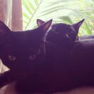 Profile image of Becky R.