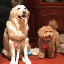 Seeker profile avatar for Seeking Full-time Adult Care Provider In Orland Park