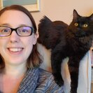 Seeker profile avatar for Sitter Needed For 1 Cat In Somerville