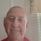 Seeker profile avatar for Sitter Needed For 1 Cat In Palmetto