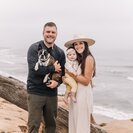 Photo for GREAT Opportunity - Long Term Part Time Nanny / Oceanside, CA For Beautiful 1 Yr Old Daughter