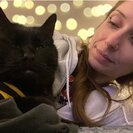 Seeker profile avatar for Looking For A Pet Sitter For 1 Cat In Napa