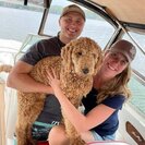 Photo for Nanny Needed For 1 Child In Lake Wylie
