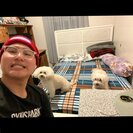Thanh L.'s Photo