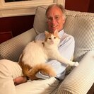 Seeker profile avatar for Sitter Needed For 1 Cat In Cambridge