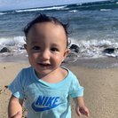 Seeker profile avatar for Looking For A Pet Sitter For 2 Guinea Pigs In San Tan Valley