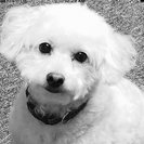 Seeker profile avatar for Looking For A Dependable Household Helper In Temecula