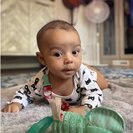 Profile image of Connor C.