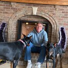 Seeker profile avatar for Looking For A Pet Sitter For 2 Dogs In Blue Springs