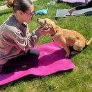 Julia D.'s Photo