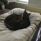 Seeker profile avatar for Nanny Needed For 1 Child In Minneapolis