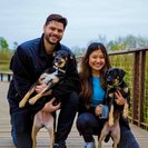 Seeker profile avatar for Nanny Needed For My Child In Sugar Land.