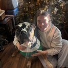 Skylar Y.'s Photo