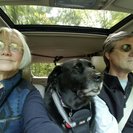 Photo for Seeking Part-time Senior Care Provider In Sherwood