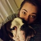 Photo for Overnight Sitter Needed For 1 Dog In Ellenton