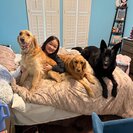Holly C.'s Photo