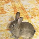 Profile image of Ann Marie H.