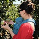 Seeker profile avatar for Nanny Needed For 4 Month Old Baby