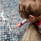 Profile image of Corinne R.