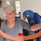 Debrah A.'s Photo