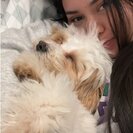 Seeker profile avatar for Weekly Babysitting For A Loving Puppy