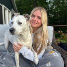 Seeker profile avatar for Looking For Care For My Dog