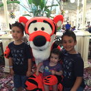 Seeker profile avatar for Looking For A Dependable House Cleaner For Family Living In Morristown
