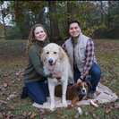 Profile image of Terra S.