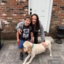 Seeker profile avatar for Part-time Mothers Helper/Nanny-Rutland Town