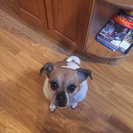 Seeker profile avatar for Seeking Adult Care Provider In Passaic