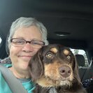 Jan D.'s Photo