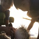 Profile image of Dawn P.