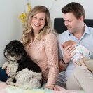 Photo for Nanny Needed For 1 Child In Royal Oak (late July Start)