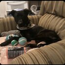 Profile image of Kala W.