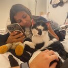 Seeker profile avatar for Cat Sitter Needed