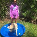 Seeker profile avatar for Walker Needed For 1 Dog In Shaker Heights