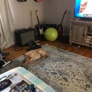 Catherine M.'s Photo