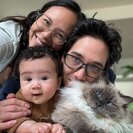 Photo for Seeking Part-time Nanny/Mom's Helper (3 Days Per Week) For 8-month-old Baby